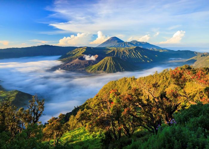 Gunung Bromo: Pendakian Mudah dengan Pemandangan Luar Biasa