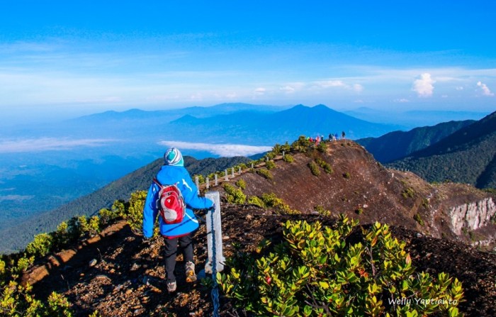 Gede gunung pangrango fakta banyak diketahui tak sumber