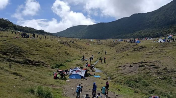 Gunung Gede Pangrango, Pilihan Ideal untuk Pendaki Pemula