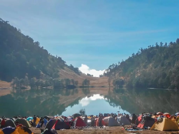 Semeru sumeru volcano mount papan