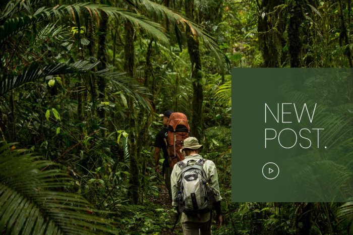 Surga Tersembunyi di Gunung Leuser