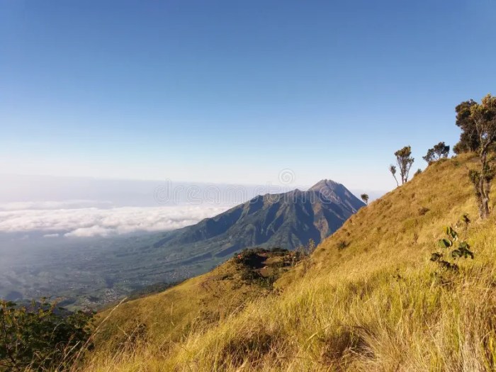 Gunung Merbabu dan Keindahan Padang Sabana