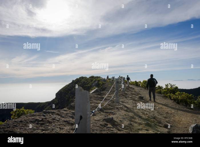 Gede pangrango national park alltrails indonesia java west mount