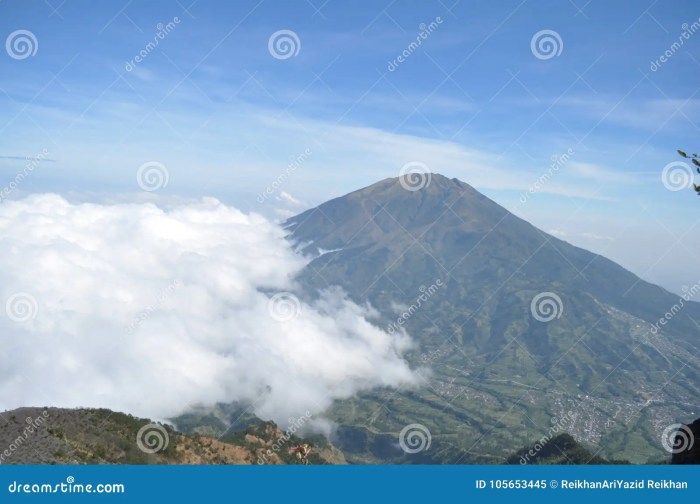 Gunung Merbabu dan Keindahan Padang Sabana