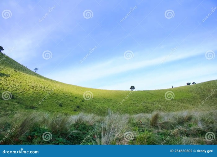 Gunung Merbabu dan Keindahan Padang Sabana