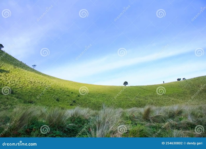 Gunung Merbabu Dan Keindahan Padang Sabana