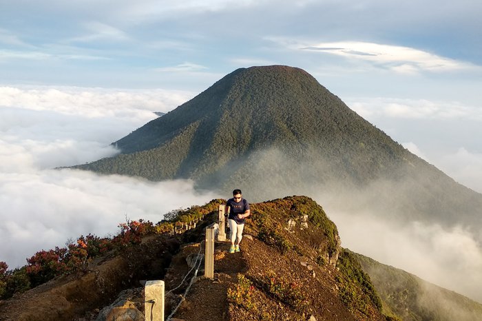 Gunung Gede Pangrango, Pilihan Ideal untuk Pendaki Pemula