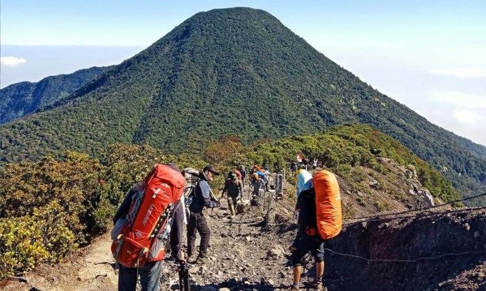 Gede gunung pangrango wajib dibuka tes