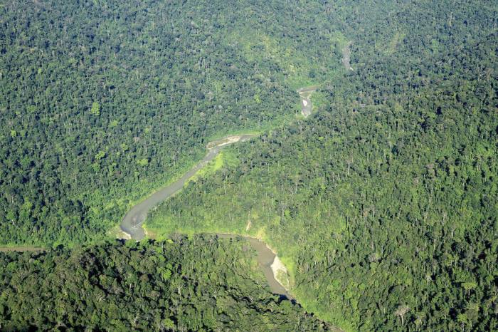 Surga Tersembunyi di Gunung Leuser