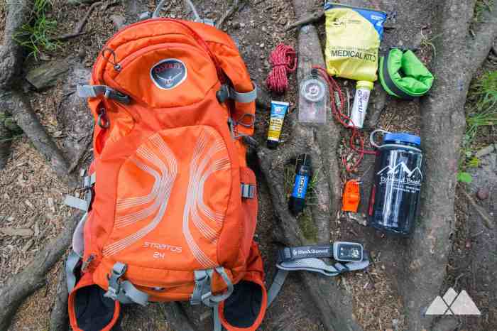 Hiking gear trekking gears equipment trek carry list hike backpack gorilla milford guidelines rules beginners must bring while save things