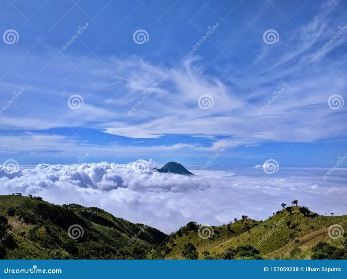 Gunung Merbabu dan Keindahan Padang Sabana