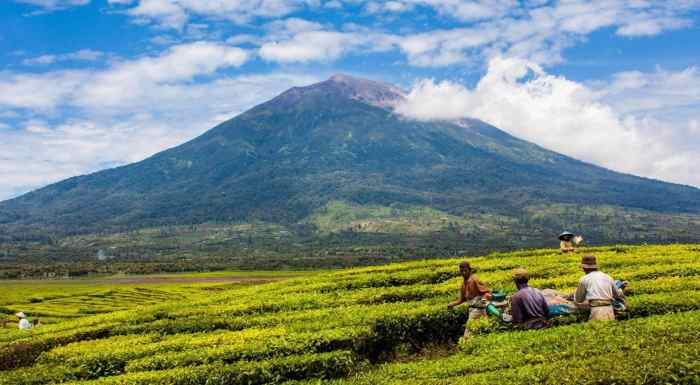 Gunung Kerinci Tantangan Untuk Pendaki Berpengalaman