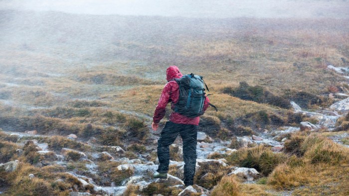 Apa yang Harus Dilakukan Jika Tersesat di Gunung?