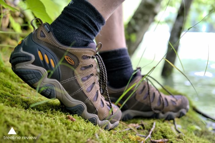 Sepatu Hiking Terbaik untuk Semua Jenis Medan