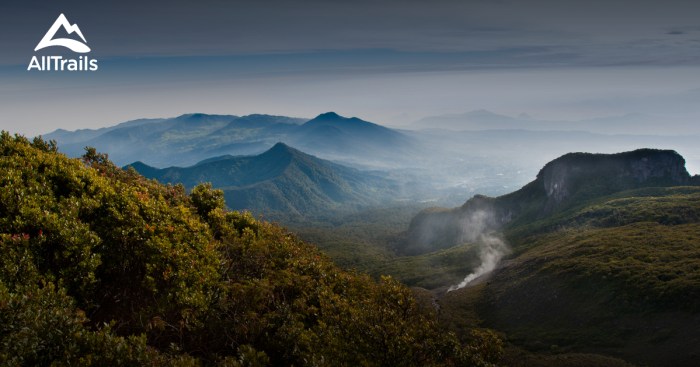 Gunung Gede Pangrango, Pilihan Ideal Untuk Pendaki Pemula