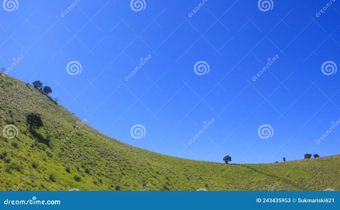 Gunung Merbabu dan Keindahan Padang Sabana