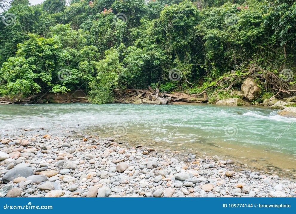 Surga Tersembunyi Di Gunung Leuser