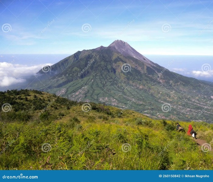 Gunung Merbabu dan Keindahan Padang Sabana